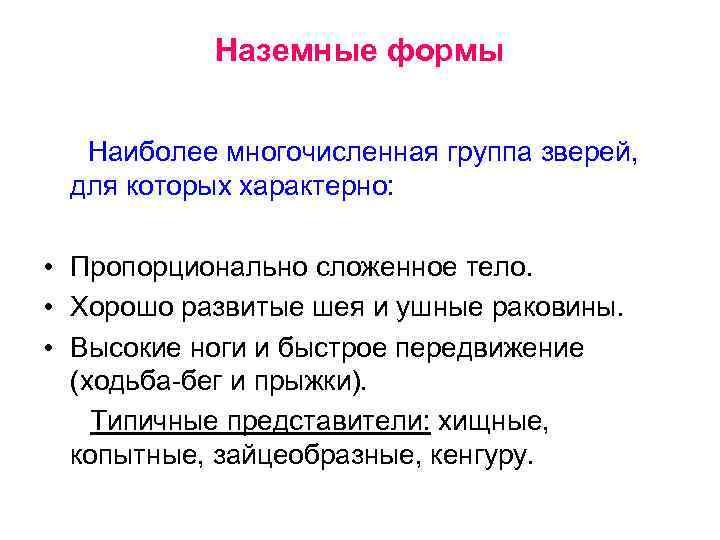 Наземные формы Наиболее многочисленная группа зверей, для которых характерно: • Пропорционально сложенное тело. •