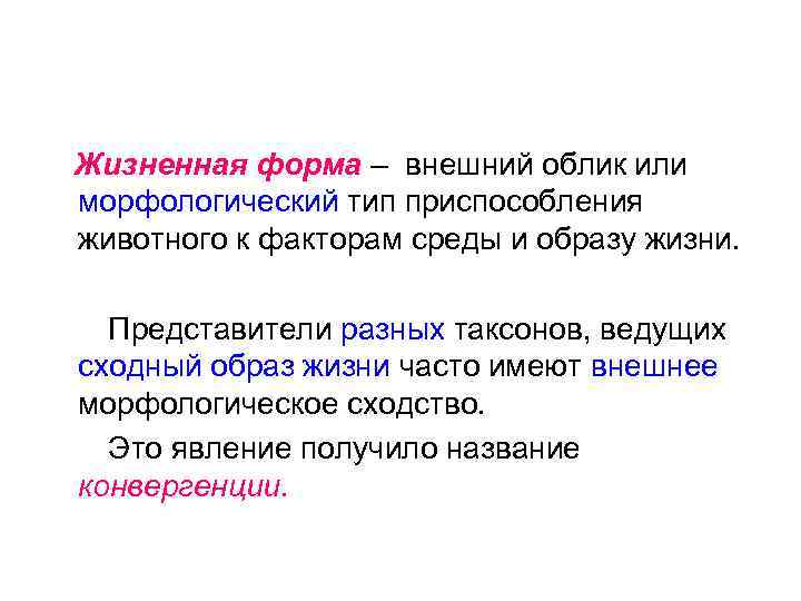 Сходным образом. Жизненные формы животных. О чем свидетельствует жизненная форма животного. Жизненная форма собак. Морфология - внешний вид и облик.