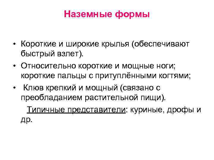 Наземные формы • Короткие и широкие крылья (обеспечивают быстрый взлет). • Относительно короткие и
