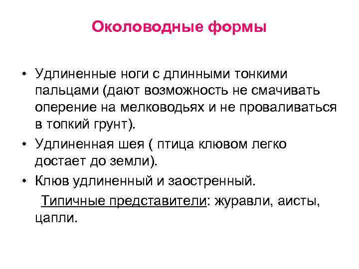Околоводные формы • Удлиненные ноги с длинными тонкими пальцами (дают возможность не смачивать оперение