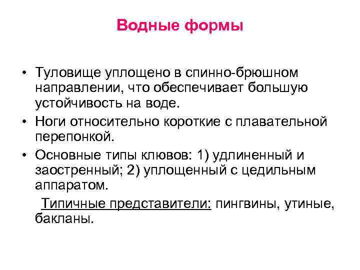 Водные формы • Туловище уплощено в спинно-брюшном направлении, что обеспечивает большую устойчивость на воде.