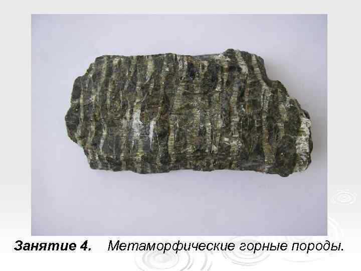 Занятие 4. Метаморфические горные породы. 
