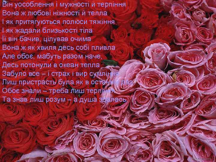 Він уособлення і мужності й терпіння Вона ж любові ніжності й тепла І як