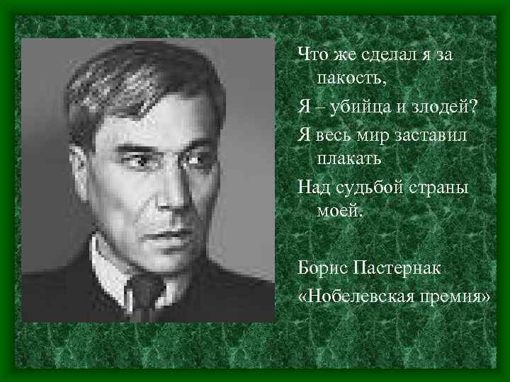 Что же сделал я за пакость, Я – убийца и злодей? Я весь мир