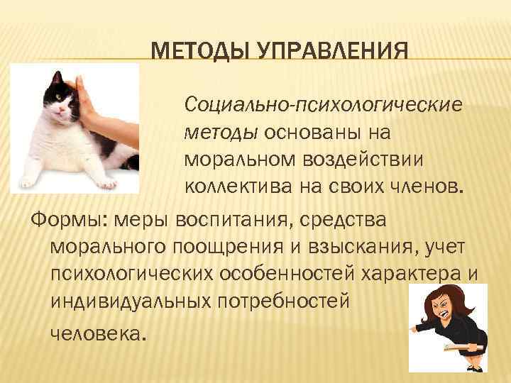 МЕТОДЫ УПРАВЛЕНИЯ Социально-психологические методы основаны на моральном воздействии коллектива на своих членов. Формы: меры