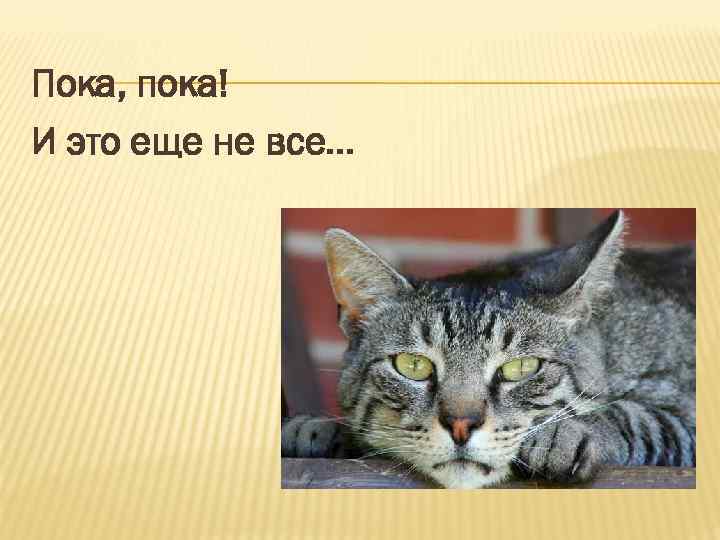 Пока, пока! И это еще не все… 