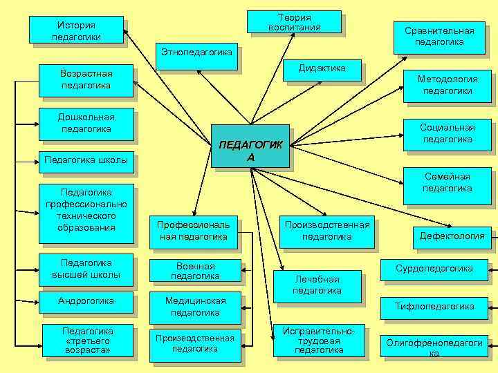 Науки входящие в систему педагогических