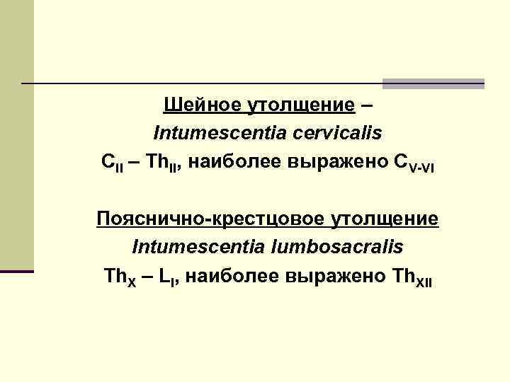 Шейное утолщение – Intumescentia cervicalis CII – Th. II, наиболее выражено СV-VI Пояснично-крестцовое утолщение