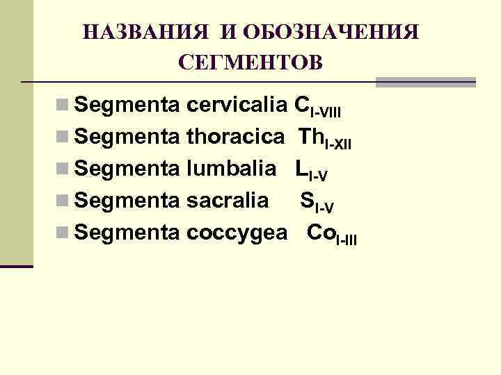 НАЗВАНИЯ И ОБОЗНАЧЕНИЯ СЕГМЕНТОВ n Segmenta cervicalia CI-VIII n Segmenta thoracica Th. I-XII n