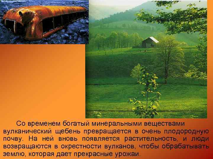 Со временем богатый минеральными веществами вулканический щебень превращается в очень плодородную почву. На ней