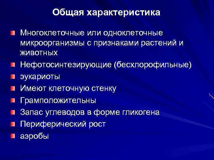 Общая характеристика Многоклеточные или одноклеточные микроорганизмы с признаками растений и животных Нефотосинтезирующие (бесхлорофильные) эукариоты