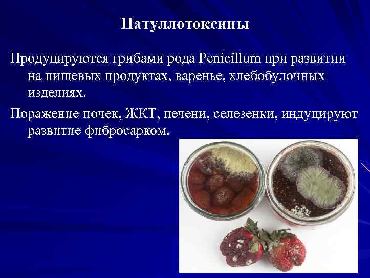 Патуллотоксины Продуцируются грибами рода Penicillum при развитии на пищевых продуктах, варенье, хлебобулочных изделиях. Поражение