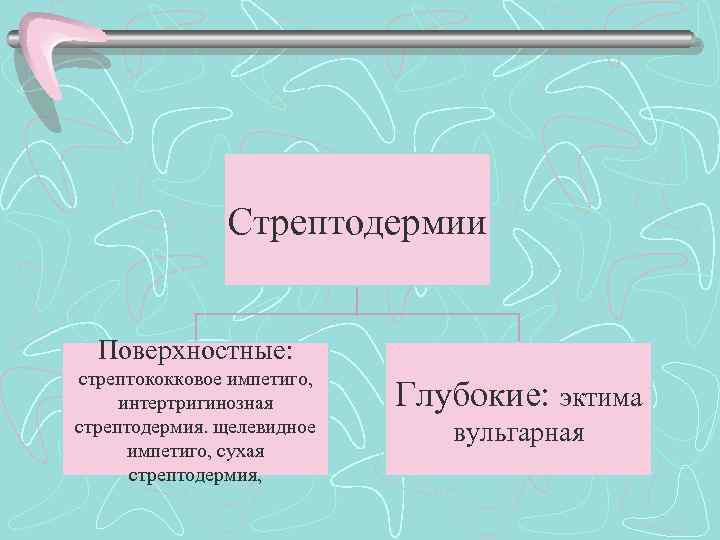 Стрептодермии Поверхностные: стрептококковое импетиго, интертригинозная стрептодермия. щелевидное импетиго, сухая стрептодермия, Глубокие: эктима вульгарная 