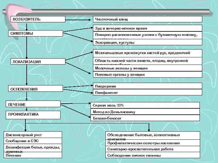 ЧЕСОТКА ВОЗБУДИТЕЛЬ Чесоточный клещ Зуд в вечерне-ночное время СИМПТОМЫ Попарно расположенные узелки с булавочную