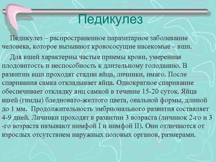 Педикулез – распространенное паразитарное заболевание человека, которое вызывают кровососущие насекомые – вши. Для вшей