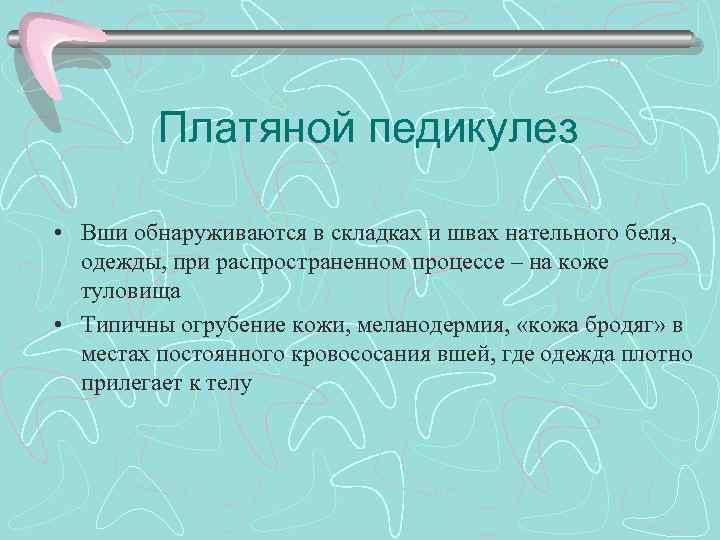 Платяной педикулез • Вши обнаруживаются в складках и швах нательного беля, одежды, при распространенном