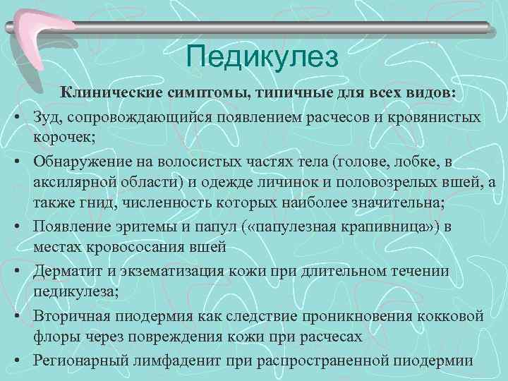 Педикулез • • • Клинические симптомы, типичные для всех видов: Зуд, сопровождающийся появлением расчесов