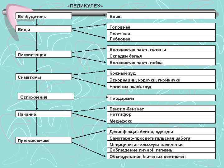  «ПЕДИКУЛЕЗ» Возбудитель Виды Вошь Головная Платяная Лобковая Волосистая часть головы Локализация Складки белья