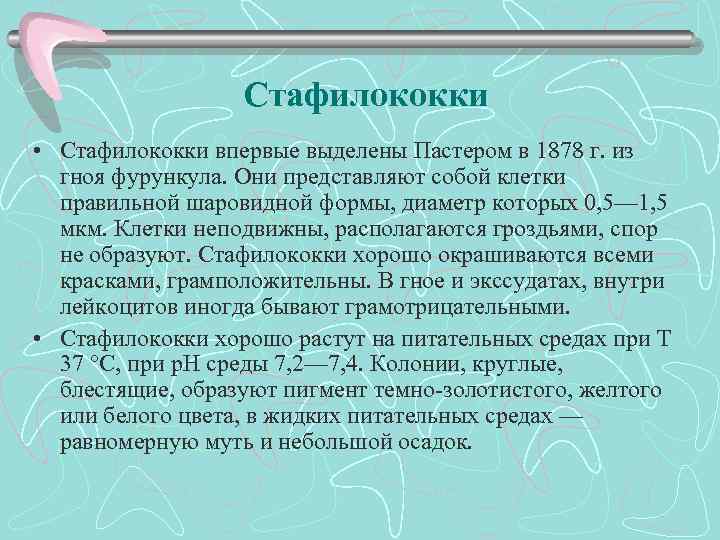 Стафилококки • Стафилококки впервые выделены Пастером в 1878 г. из гноя фурункула. Они представляют