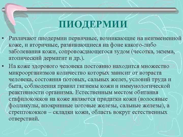 ПИОДЕРМИИ • Различают пиодермии первичные, возникающие на неизмененной коже, и вторичные, развивающиеся на фоне