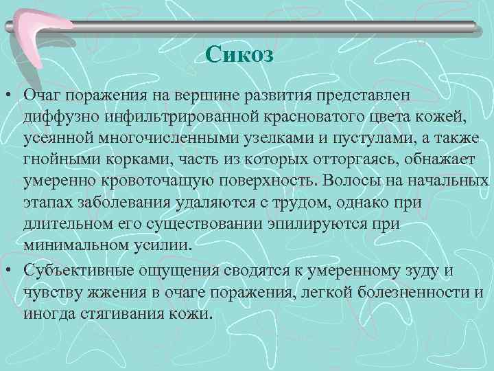 Сикоз • Очаг поражения на вершине развития представлен диффузно инфильтрированной красноватого цвета кожей, усеянной