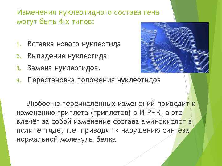 Изменения нуклеотидного состава гена могут быть 4 -х типов: 1. Вставка нового нуклеотида 2.