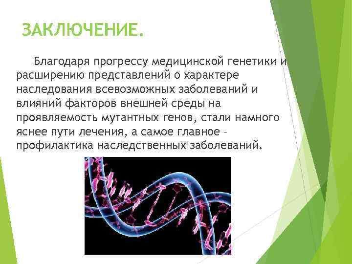 Презентации по теме генетика