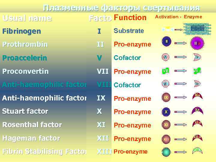 Плазменные факторы свертывания Usual name Factor. Function Activation - Enzyme Fibrinogen I Prothrombin II