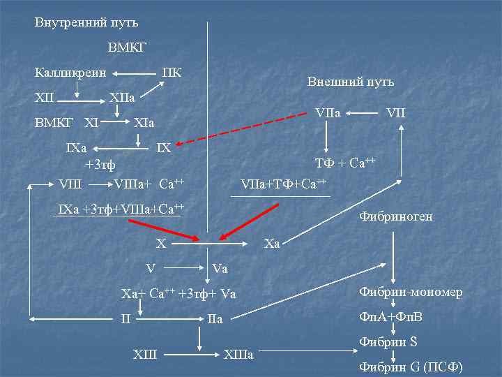 Внутренний путь ВМКГ Калликреин XII ПК Внешний путь XIIa ВМКГ XI VIIa XIa IX