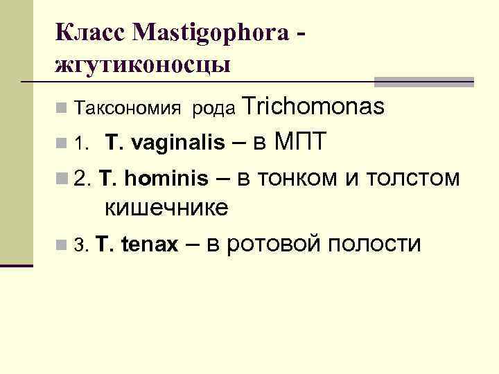 Класс Mastigophora жгутиконосцы Trichomonas n 1. Т. vaginalis – в МПТ n 2. T.