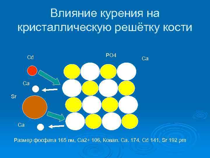 Влияние курения на кристаллическую решётку кости Cd PO 4 Ca Ca Sr Ca Размер