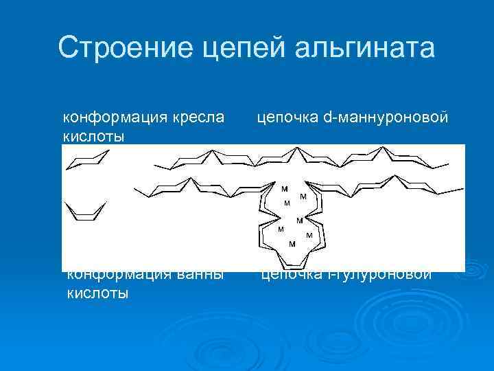 Строение цепей альгината конформация кресла цепочка d-маннуроновой кислоты конформация ванны цепочка l-гулуроновой кислоты 