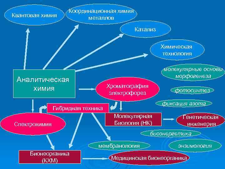 Квантовая химия Координационная химия металлов Катализ Химическая технология молекулярные основы морфогенеза Аналитическая химия Хроматография