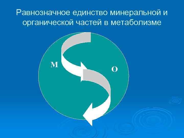 Равнозначное единство минеральной и органической частей в метаболизме М О 