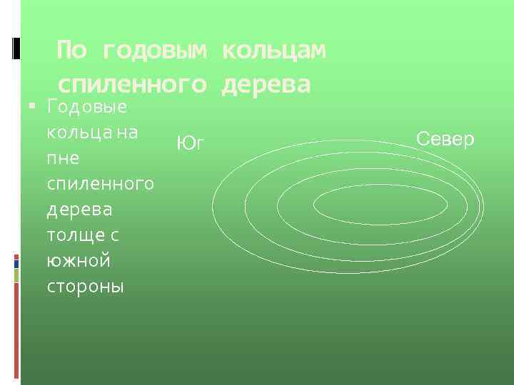 По годовым кольцам спиленного дерева Годовые кольца на пне спиленного дерева толще с южной