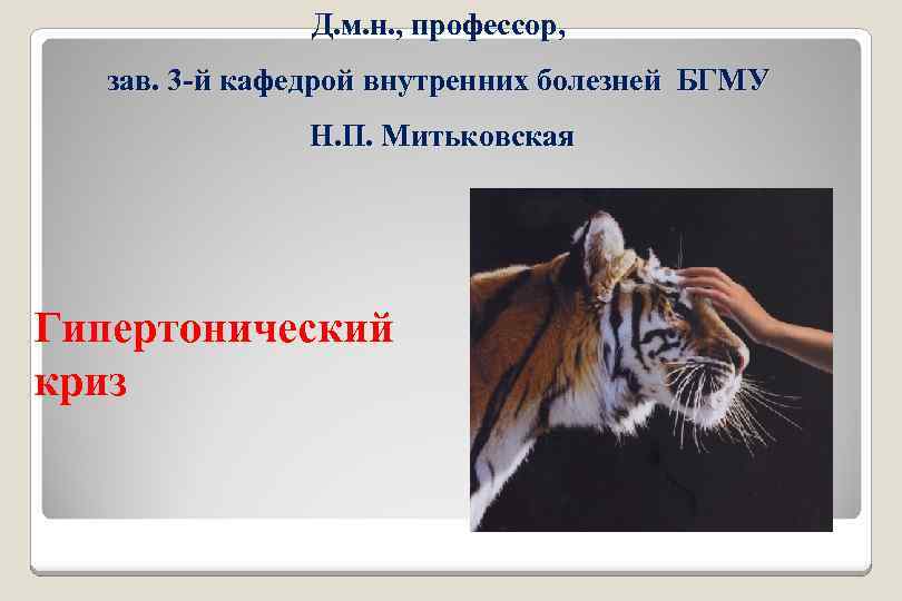 Д. м. н. , профессор, зав. 3 -й кафедрой внутренних болезней БГМУ Н. П.