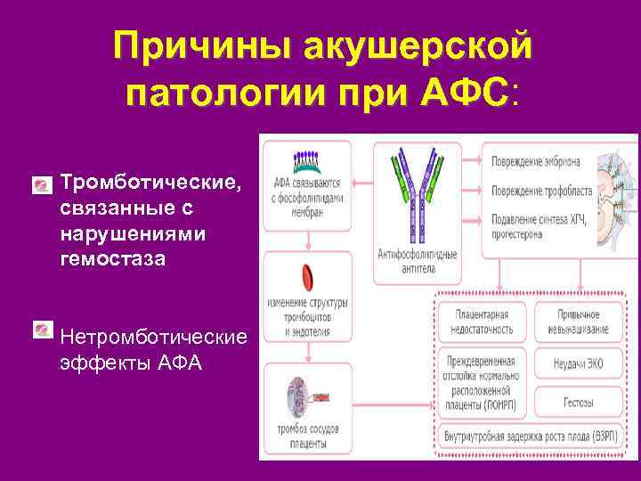 Причины акушерской патологии при АФС: АФС Тромботические, связанные с нарушениями гемостаза Нетромботические эффекты АФА