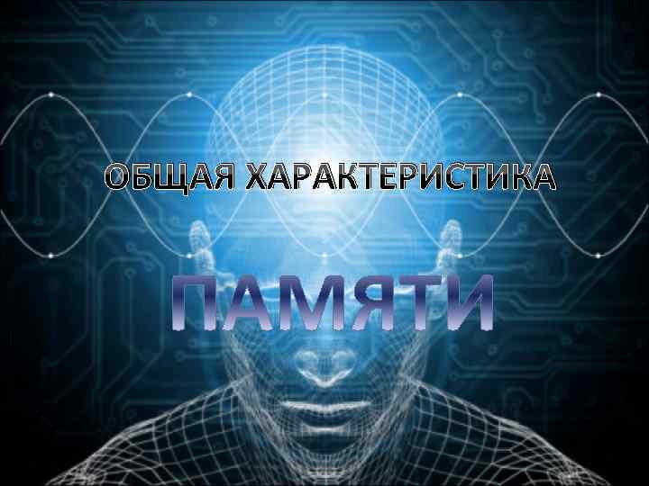 ОБЩАЯ ХАРАКТЕРИСТИКА 