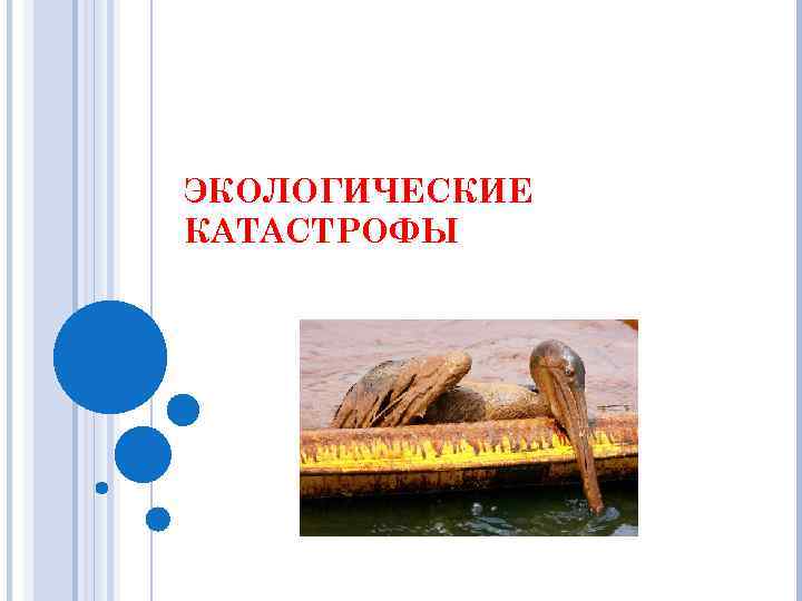 ЭКОЛОГИЧЕСКИЕ КАТАСТРОФЫ 