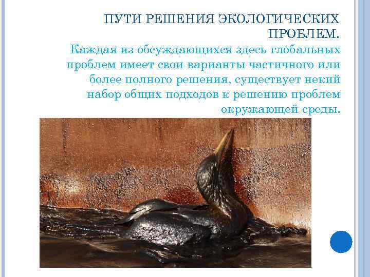 ПУТИ РЕШЕНИЯ ЭКОЛОГИЧЕСКИХ ПРОБЛЕМ. Каждая из обсуждающихся здесь глобальных проблем имеет свои варианты частичного