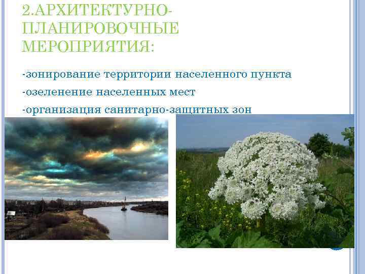 2. АРХИТЕКТУРНОПЛАНИРОВОЧНЫЕ МЕРОПРИЯТИЯ: -зонирование территории населенного пункта -озеленение населенных мест -организация санитарно-защитных зон 