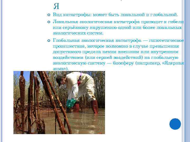 Я Вид катастрофы: может быть локальной и глобальной. Локальная экологическая катастрофа приводит к гибели