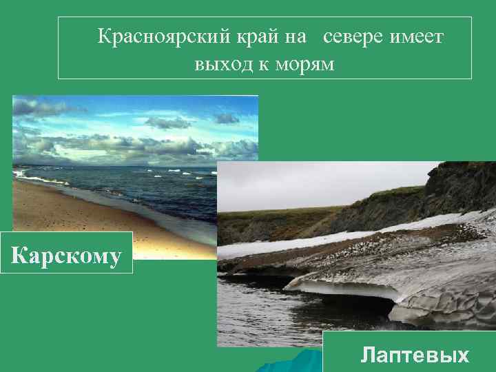  Красноярский край на севере имеет выход к морям Карскому Лаптевых 