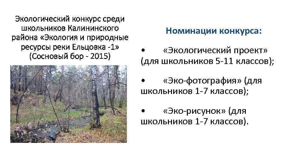 Экологический конкурс среди школьников Калининского района «Экология и природные ресурсы реки Ельцовка -1» (Сосновый