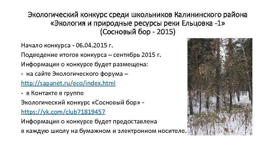 Экологический конкурс среди школьников Калининского района «Экология и природные ресурсы реки Ельцовка -1» (Сосновый