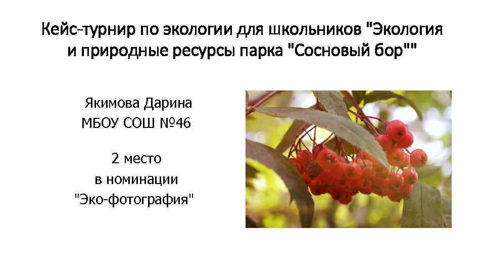 Кейс-турнир по экологии для школьников 