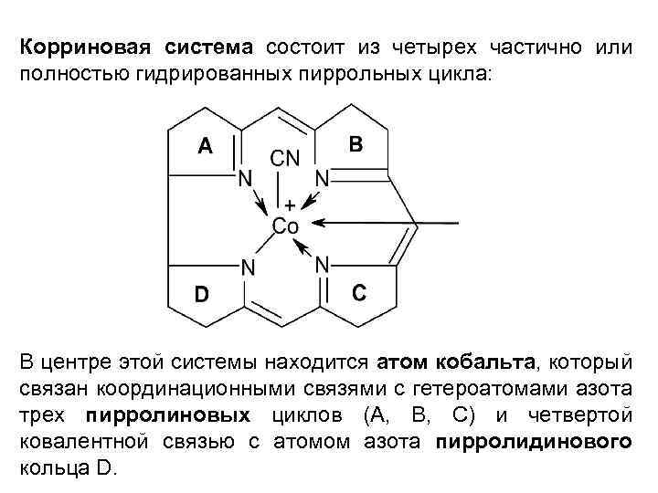 Корриновая система состоит из четырех частично или полностью гидрированных пиррольных цикла: В центре этой