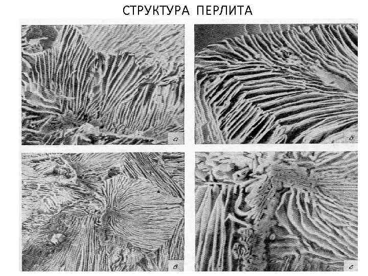СТРУКТУРА ПЕРЛИТА 