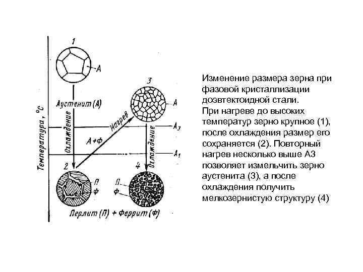 Изменение размера зерна при фазовой кристаллизации доэвтектоидной стали. При нагреве до высоких температур зерно