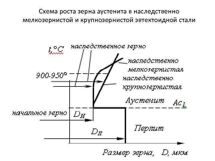 Схема роста зерна аустенита в наследственно мелкозернистой и крупнозернистой эвтектоидной стали 